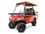 Epic Carts for sale in Clearwater, Tampa, Land O'Lakes, Lutz, Wesley Chapel